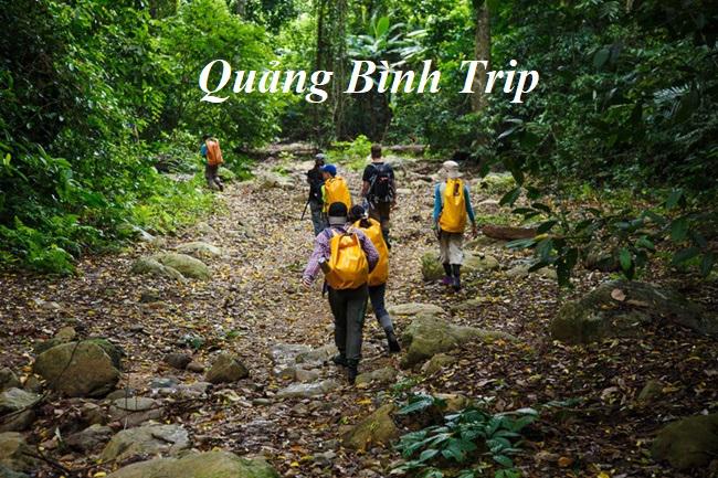 Kinh nghiệm khi đi Trekking Phong Nha Kẻ Bàng