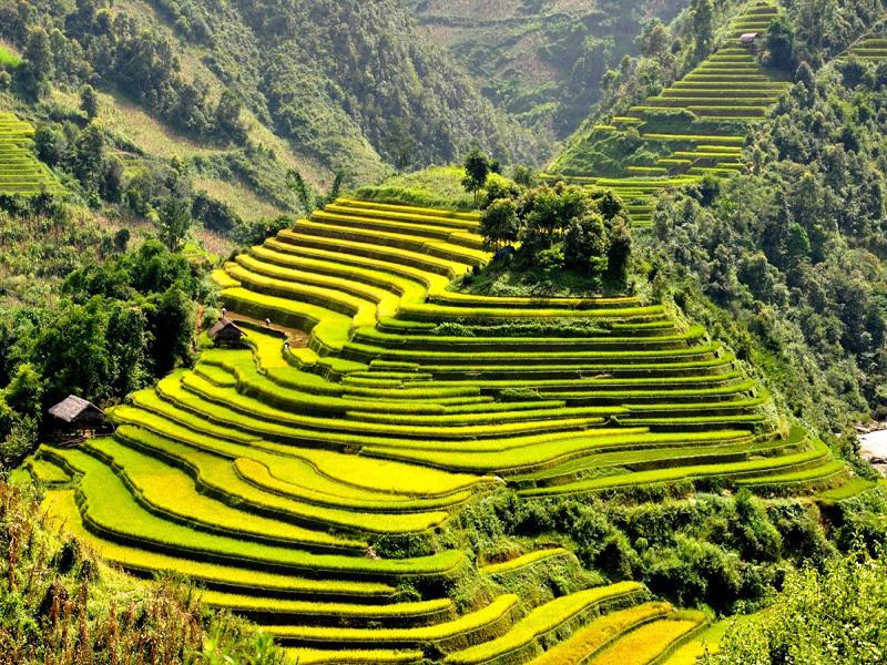 Tour Quảng Bình - Sapa 3 ngày 4 đêm