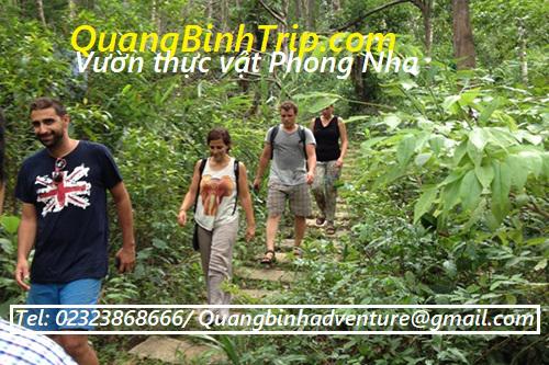 Tour Động Phong Nha - vườn thực vật tại Quảng Bình 1 ngày